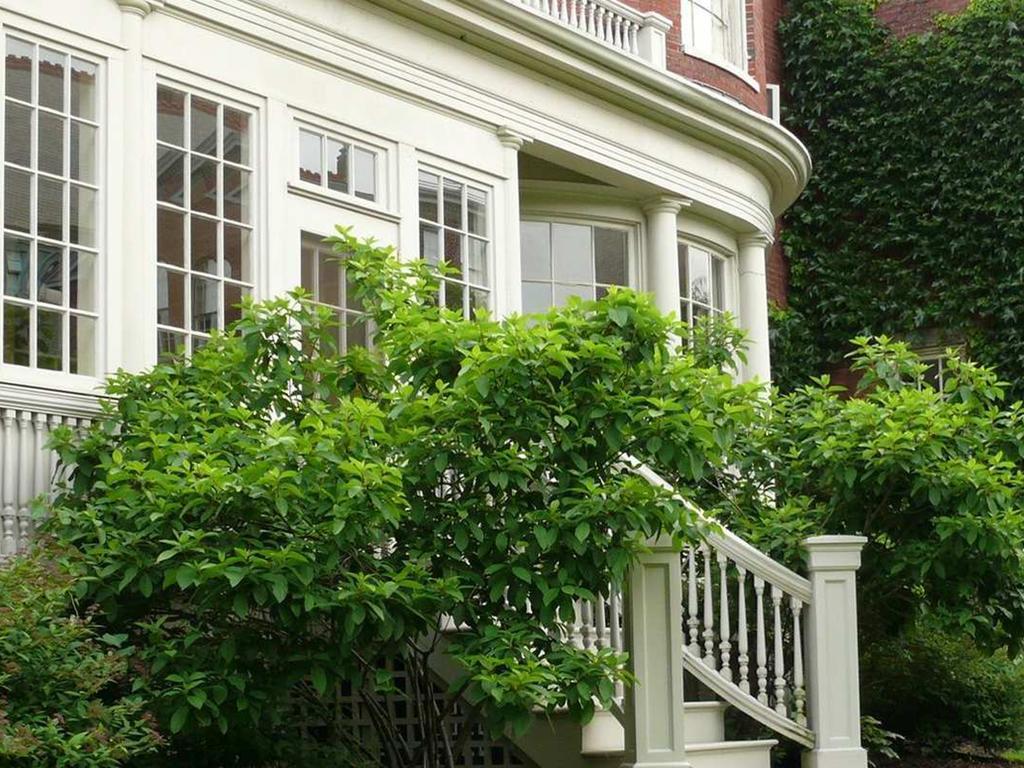 Blind Tiger Portland - Danforth Street Guest House Exterior photo